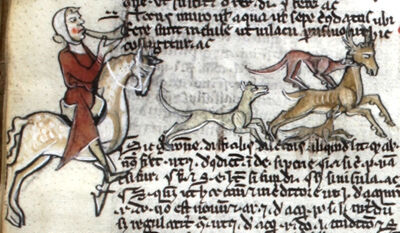 Zaślepka – Logo Biblioteki